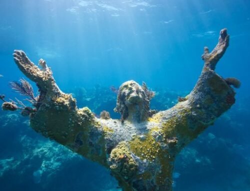 What to Know Before Snorkeling the Christ of the Abyss in Key Largo