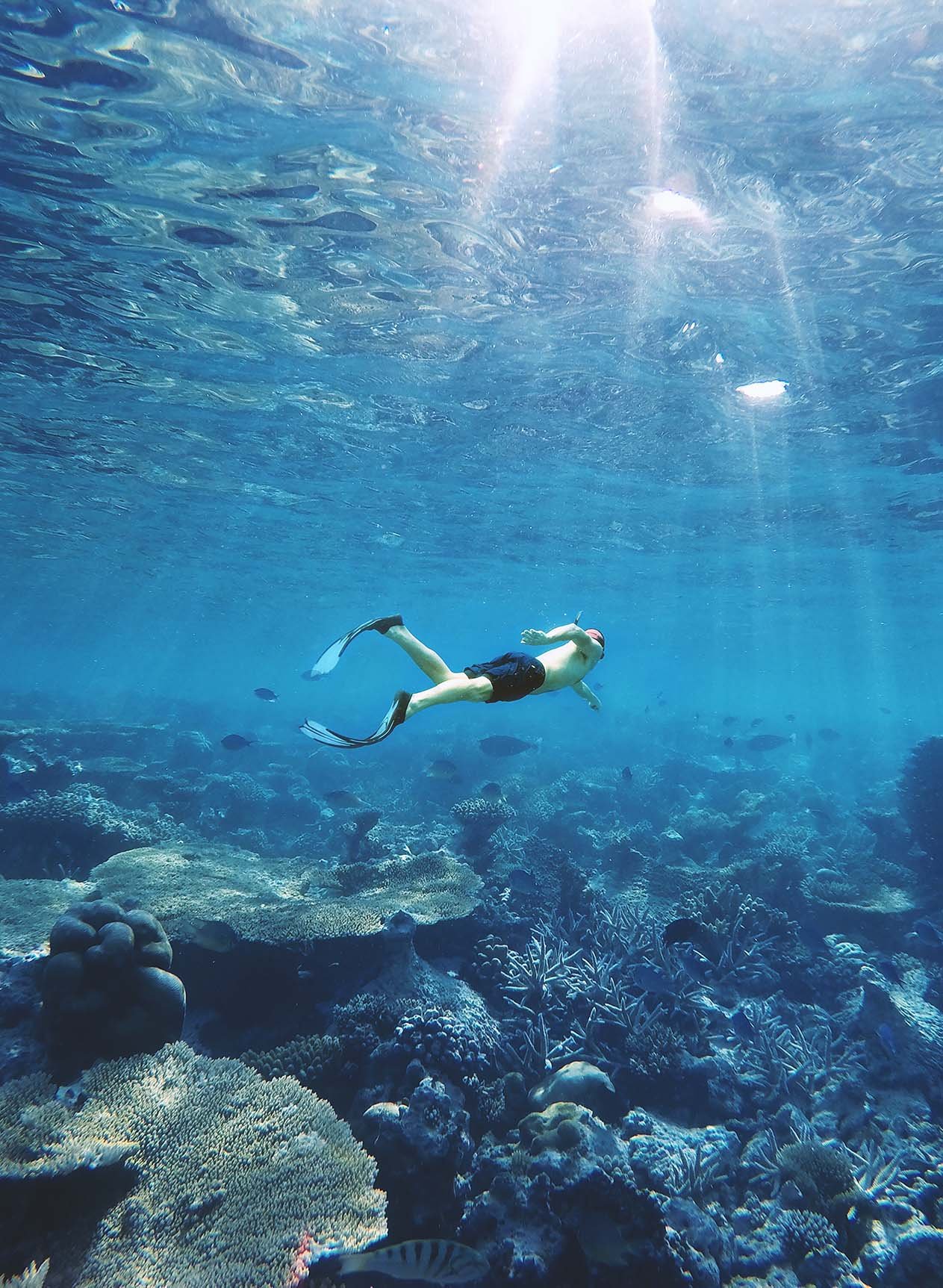 key largo snorkeling tours