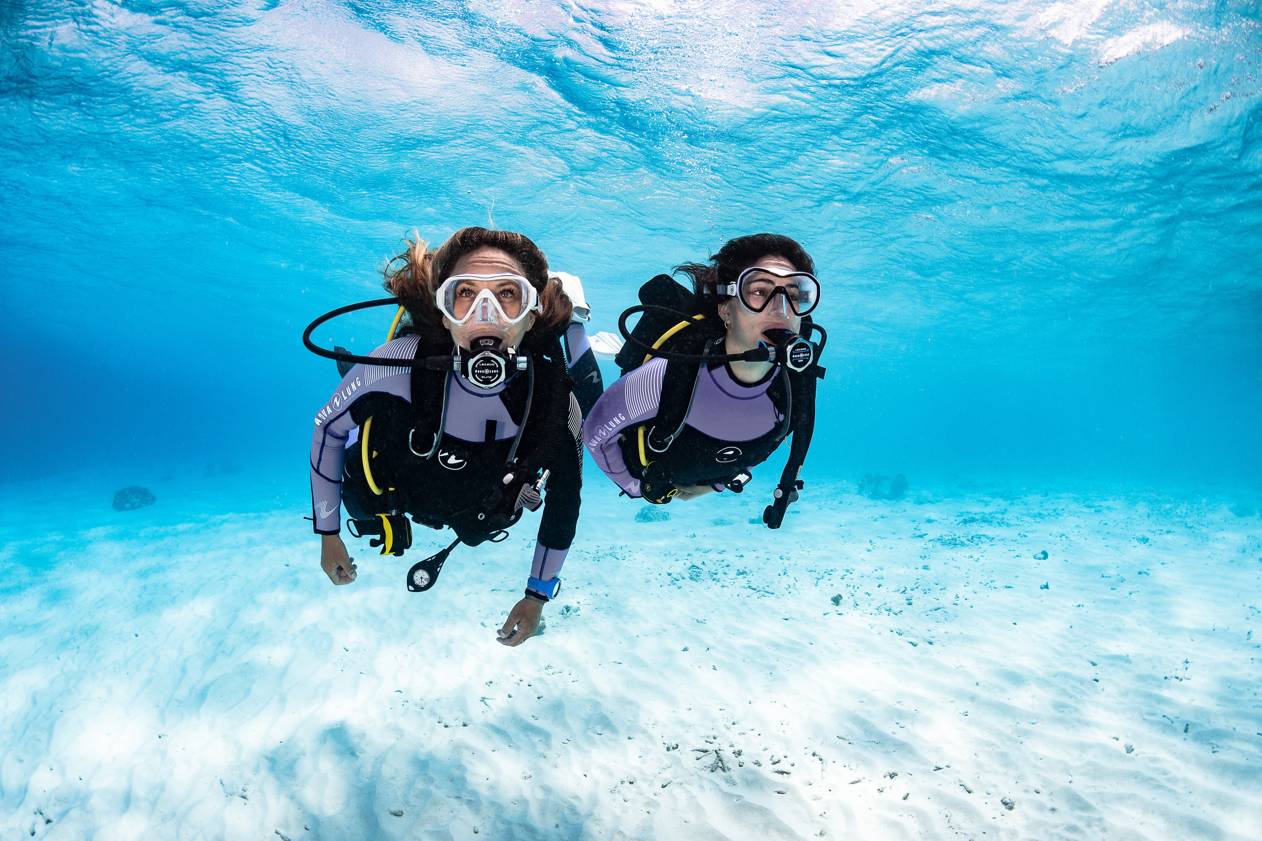 Discover Scuba Diving - No Certification Required!