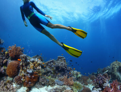 Do You Have To Know How To Swim To Snorkel?
