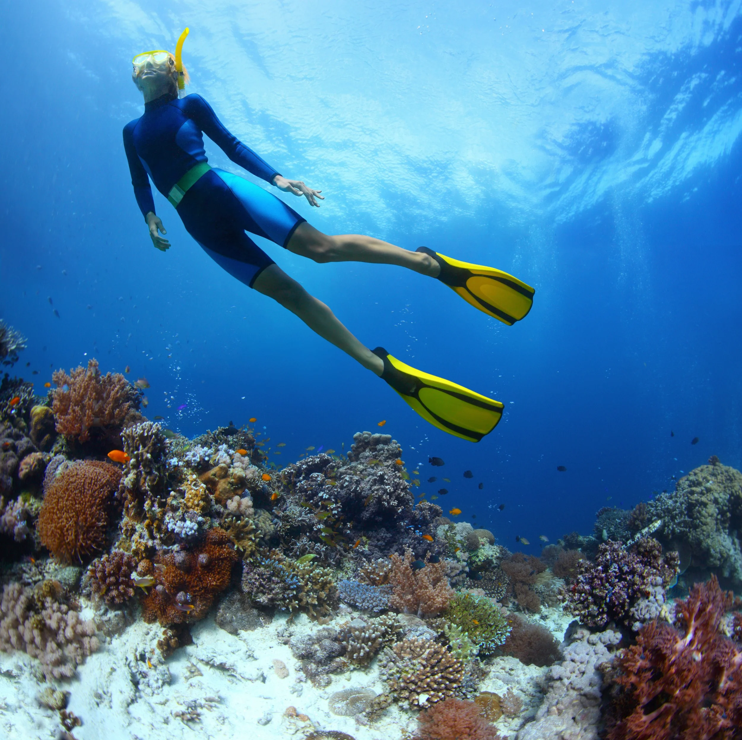snorkeling in key largo