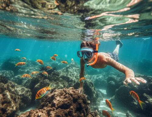 How hard is snorkeling? Choosing the right snorkeling spot for you in the Florida Keys