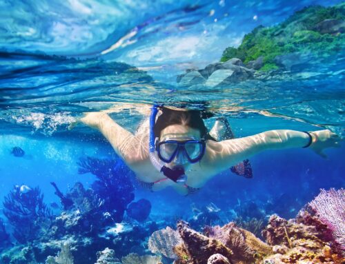 How to Snorkel: The Complete Guide