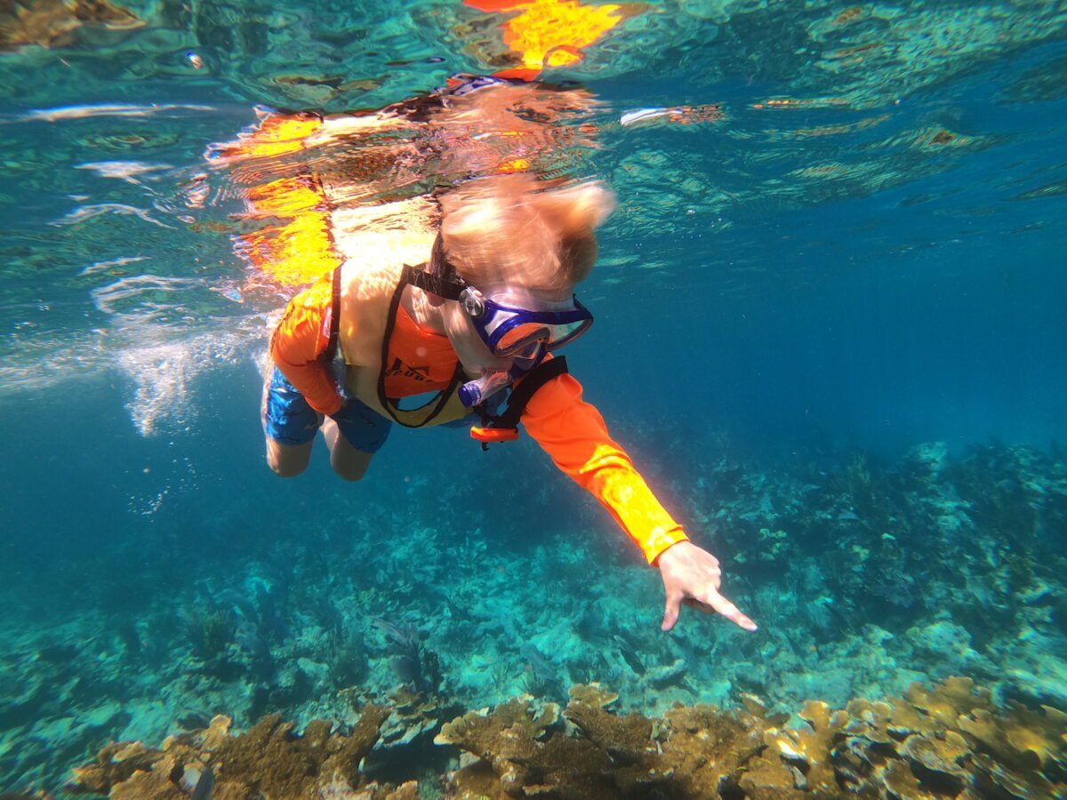 John Pennekamp Coral Reef Dive & Snorkeling Tours Silent World