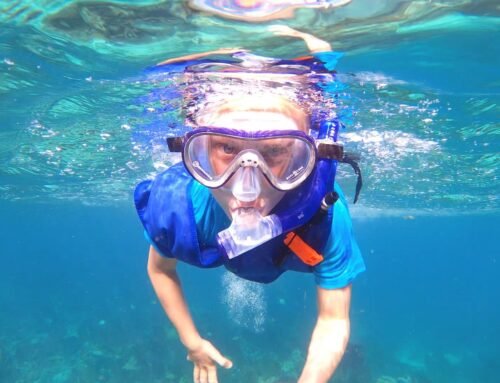 Your Window to the Reef: Why High-Quality Snorkeling Masks Make or Break Your Trip