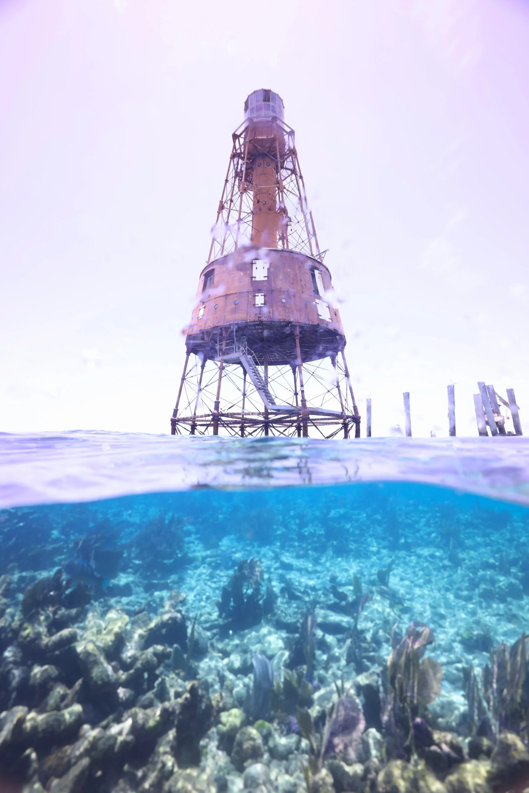 Siren 08