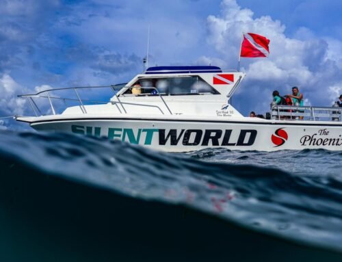 Getting Certified with Silent World a PADI Ecocenter