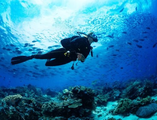Rescue Diver Equipment List: Essential Gear for Preparedness