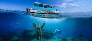 Silent world hero image