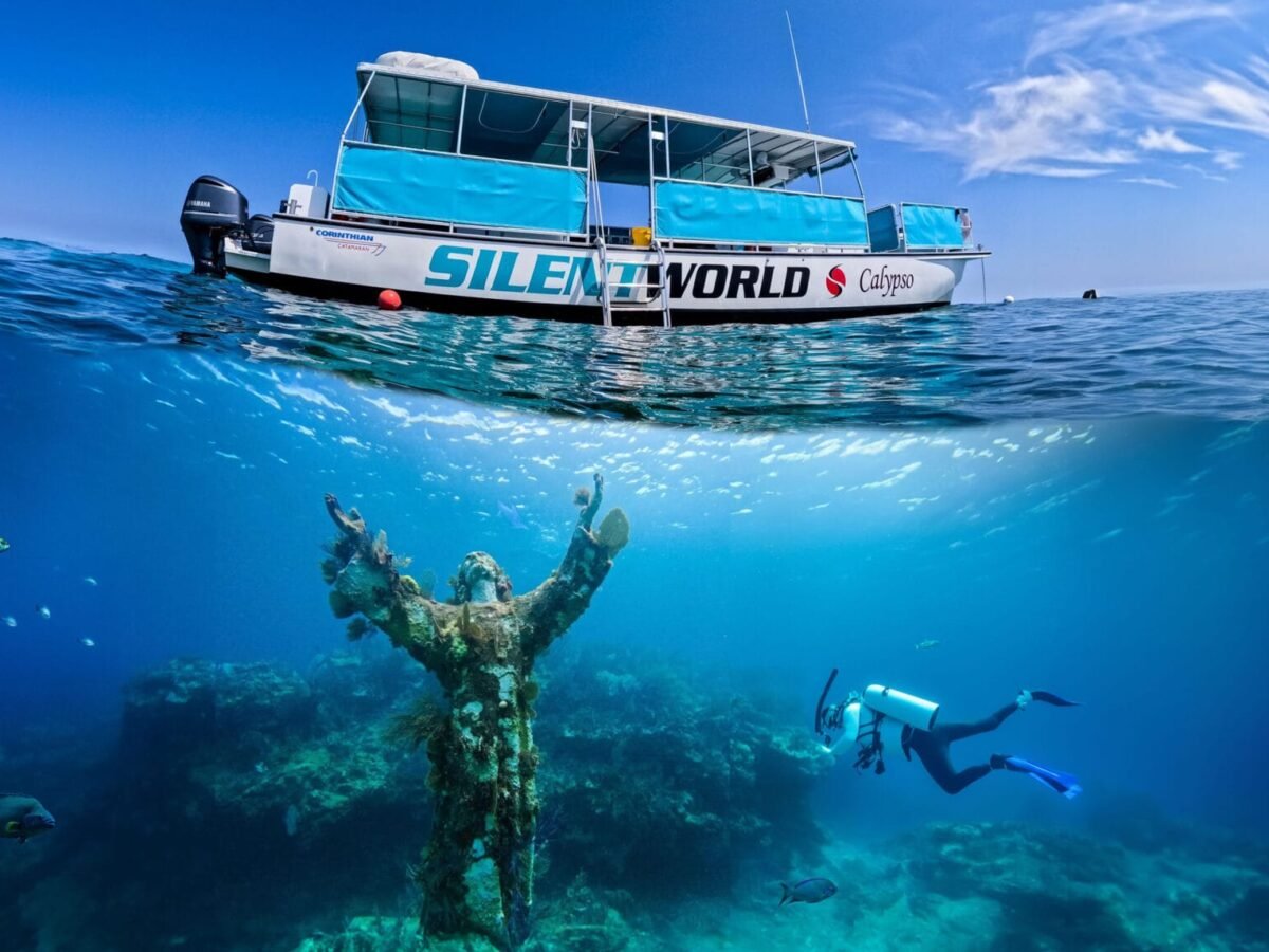 アイルランド 聖なる泉 写真集「Fish Stone Water」ケルト Christ of the Abyss Snorkeling Guide: What to Really Expect