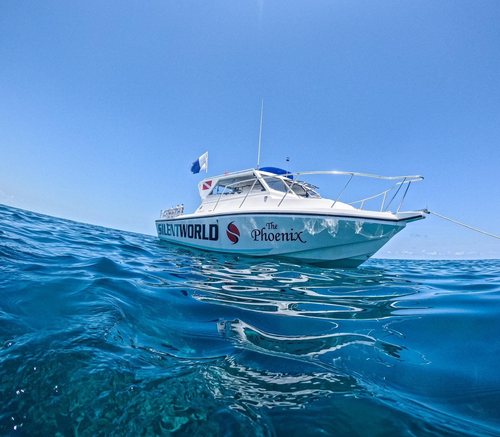 IMG-20240529-WA0019(1)