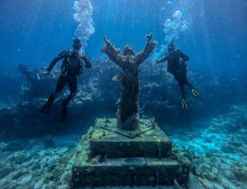 Ditch the Passport: Discover World-Class Diving & Snorkeling in Key Largo with Silent World
