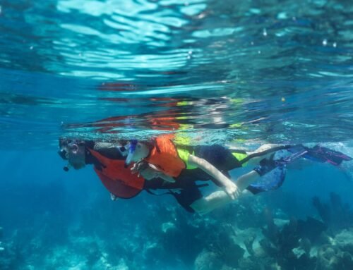 Why Key Largo’s Calm, Clear Water is the Secret for First-Time Snorkelers