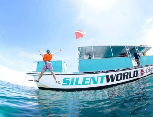 Dive into Legend: Why Key Largo’s New Legendary 3-Site Snorkel Tour is the Ultimate Florida Keys Experience