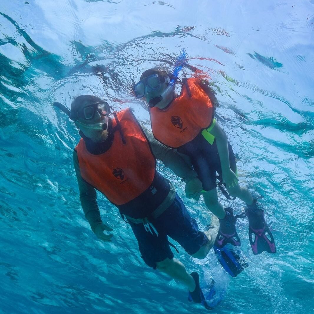 Key Largo Icons & Secrets Snorkel Tour | Silent World