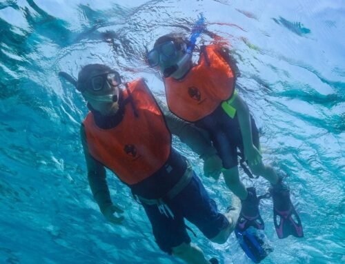 The New Aquatic Crown: Unveiling Silent World’s Key Largo Icons and Secrets Tour