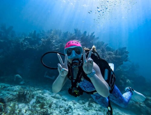 Meet the Experts: A Day in the Life of a PADI 5-Star Instructor Development Center (IDC)