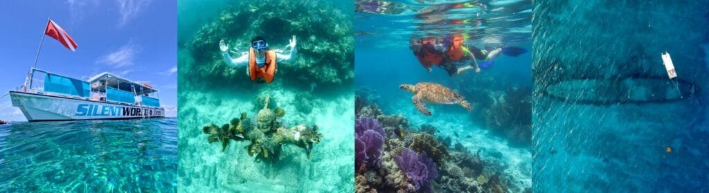 Top 5 Things to Do in Key Largo (Beyond the Bar Scene)