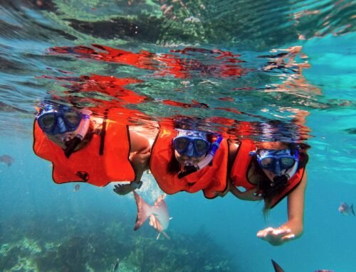 The Ultimate Key Largo Snorkeling Guide: Why a Private Experience Always Wins