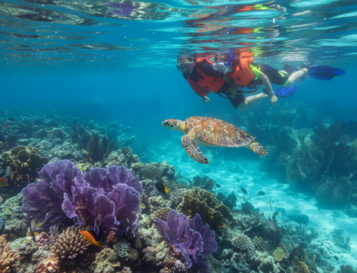 Beyond the Statue: 5 Secret Key Largo Snorkel Sites You Can Only Reach on The Siren