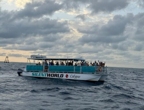 Sunset Snorkeling in Key Largo: Why “Golden Hour” Is the Secret Best Time to Swim