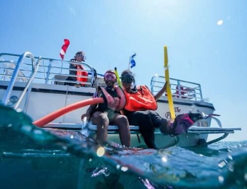 Key Largo vs. Key West for Spring Break: Why Snorkelers Choose the Upper Keys