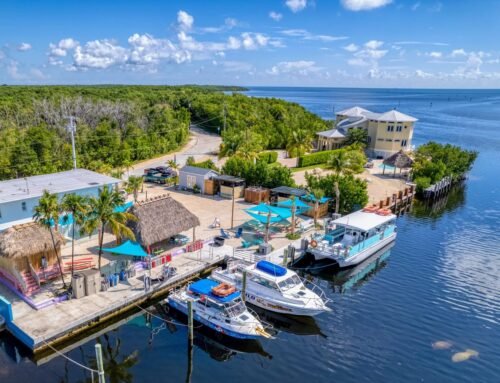What to Expect on a High-Energy Reef Safari in Key Largo