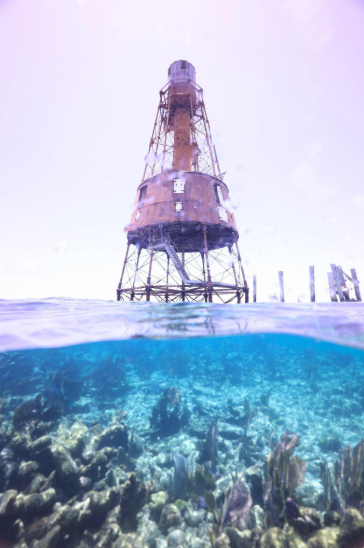 carysfort lighthouse up close