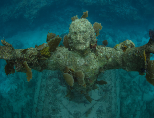 Key Largo’s Top 3: The Triple Crown Snorkel Tour