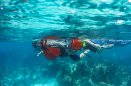 key largo snorkelers swimming together