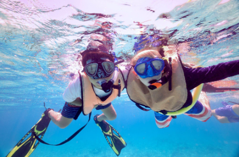 snorkelers in key largo upgraded their trip